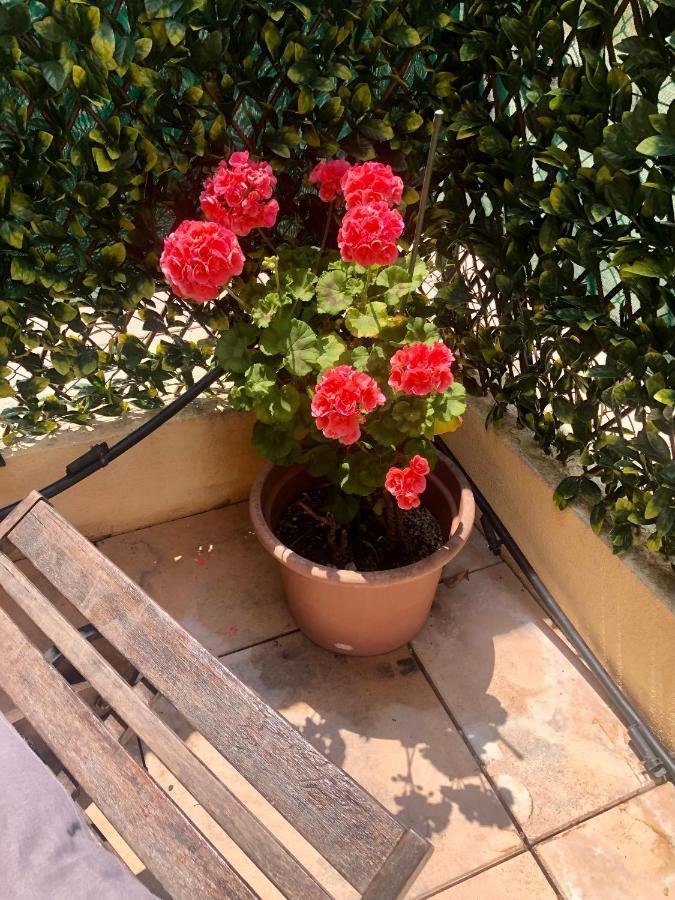 Mon Appart Avec Terrasse Et Piscine Rocabruna Exterior foto